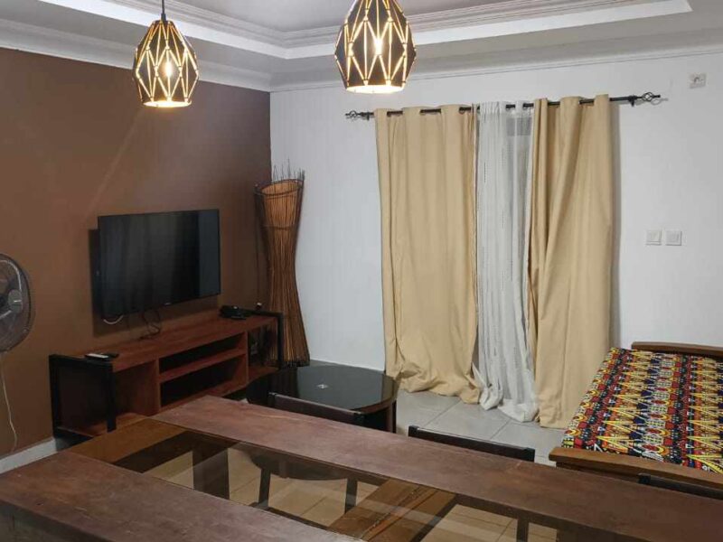 Appartement F2 en plein Centre Ville