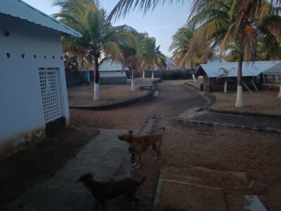 Domaine de 250m2 bâti, terrain de 6000 m2