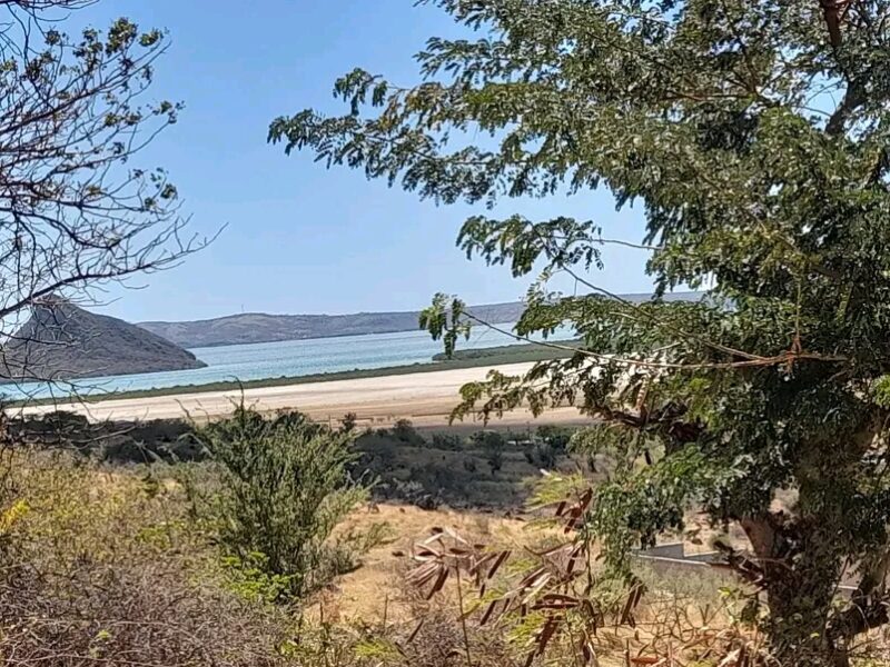Terrain 3200 M2 titré borné avec vue/pain de sucre
