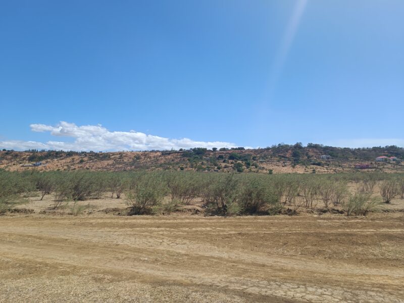Terrain de 400 M2 à 5 km de diego