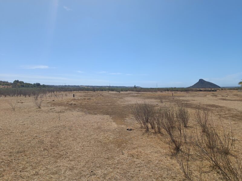 Terrain de 400 M2 à 5 km de diego